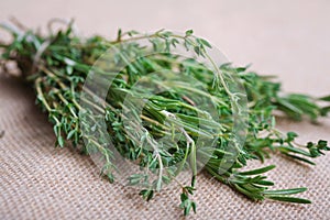 Bunch of rosemary and thyme