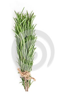 bunch of rosemary tied with scourge isolated on white background