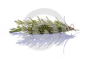 Bunch of rosemary on a white background photo