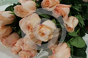 Bunch of roses has a pale pink color lying of the table, close-up. M acro.