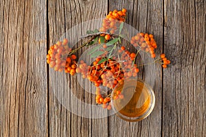 Bunch of rowan berries and bowl of honey