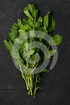 Bunch of Rugola Leaves and Stalks