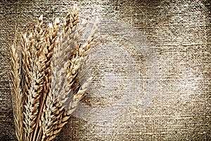 Bunch of rye ears on sacking background
