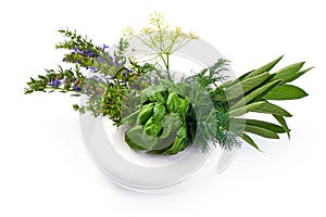 Bunch of sage, thyme, dill, hyssop and basil, isolated on white background