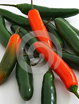 Bunch of serrano peppers, Capsicum annuum photo