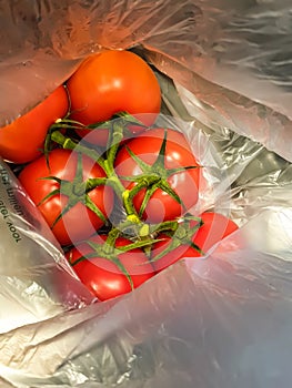 Penacho de tomates lleno en el plastico 