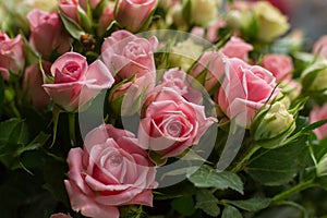 Bunch of small pink and yellow small roses on brick background