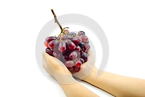 Bunch of small red grapes in children`s hand