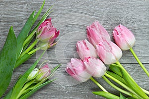 Bunch of soft pink tulips