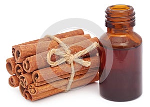 Bunch of some fresh aromatic cinnamon with essential oil