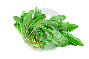 Bunch of spinach isolated on white background photo
