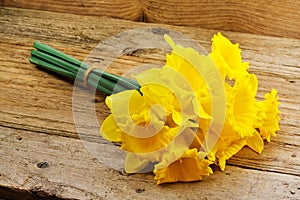 Bunch of spring daffodils