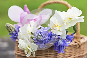 bunch of spring flowers in wicker basket