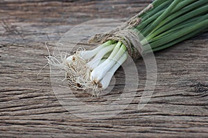 Bunch of spring onions