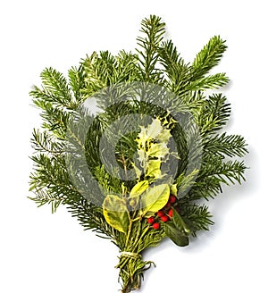 bunch of spruce twigs with holly mistletoe on a white background