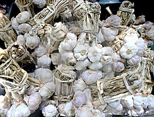 A bunch stack of white garlic bulb in the food marketplace, Bangkok, Thailand. Macro Photo food garlic bulb and cloves. Background