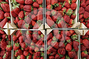 Bunch of Strawberries img