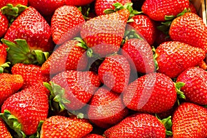 A bunch of Strawberries