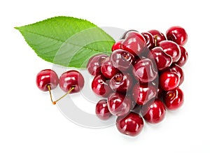 Bunch of sweet cherry berries (Prunus avium)