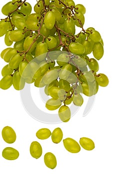 A bunch of table grapes on a white background and a bunch of white grapes scattered on a white background