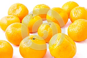 Bunch Tangerine (Mandarin) on White Background