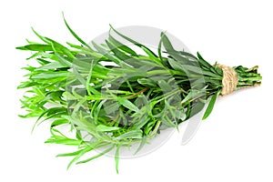 Bunch of tarragon leaves isolated on white background. Artemisia dracunculus