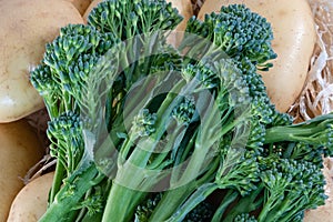 Bunch of Tenderstem Broccoli on a bed of Potatoes
