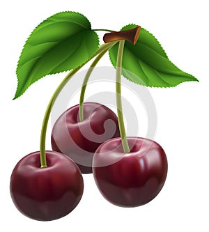 Bunch of three cherries
