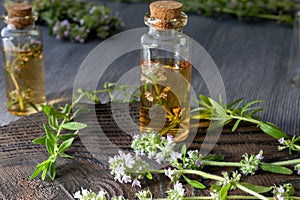 Bunch of thyme, thyme essential oil in a glass bottles on a dark wooden background. Aroma oil preparation. Alternative medicine