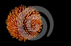 A bunch of tomato macaroni isolated on a black background. Colored spaghetti