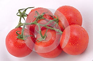 Bunch of tomatoes