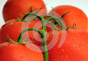 Bunch of tomatoes