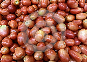 Penacho de tomates. imagen 