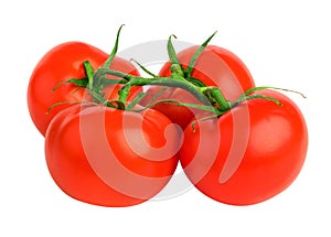 Bunch tomatoes