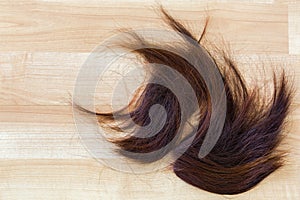 Bunch of trimmed cut off reddish brown hair on wooden floor with photo