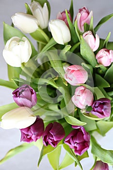 Bunch of tulip, bouquet of flowers for mothers day card, Easter or woman`s day. Spring tulips on grey background