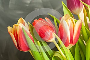 A bunch of tulips with red petals