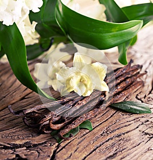 Bunch of vanilla sticks.