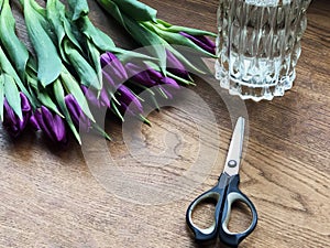 Bouquet of tulips on wooden background with scissors and crystal vase with water close-up. Making bouquet.scissors, bunch of viole photo