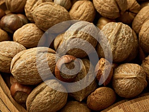 Bunch walnuts hazelnuts closeup