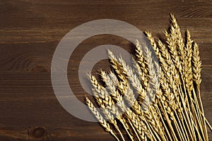 Bunch of wheat ears close up on dark brown wooden background. Autumn harvest of grain crops