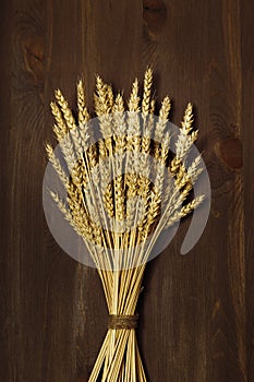 Bunch of wheat ears close up on dark brown wooden background. Autumn harvest of grain crops.