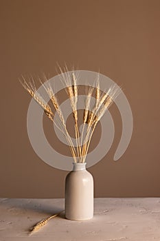 A bunch of wheat ears or heads in a white vase on a concrete table, stillife