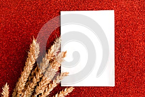 Bunch of wheat ears and white mockup blank on red glitter background.