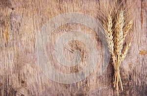 A bunch of wheat spikes on an old wooden background.