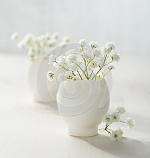 Bunch of white baby's breath flowers.