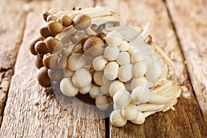 Bunch of white and brown edible beech mushrooms or Shimeji or buna and bunapi closeup on table. Horizontal