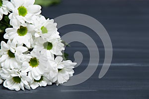 A bunch of white daisy flowers on rustic chalkboard table surface, with blur copy space background.