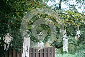 a bunch of white dream catchers hanging from a tree