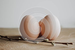 Bunch of white eggs with willow branch on wooden background